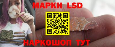 прущие грибы Лесосибирск