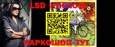 прущие грибы Лесосибирск