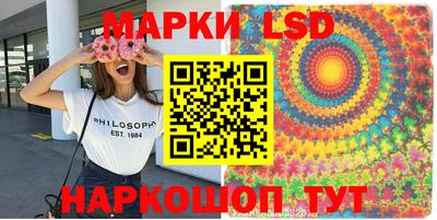 крисы Кулебаки