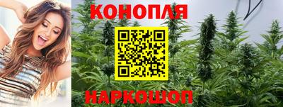 прущие грибы Лесосибирск