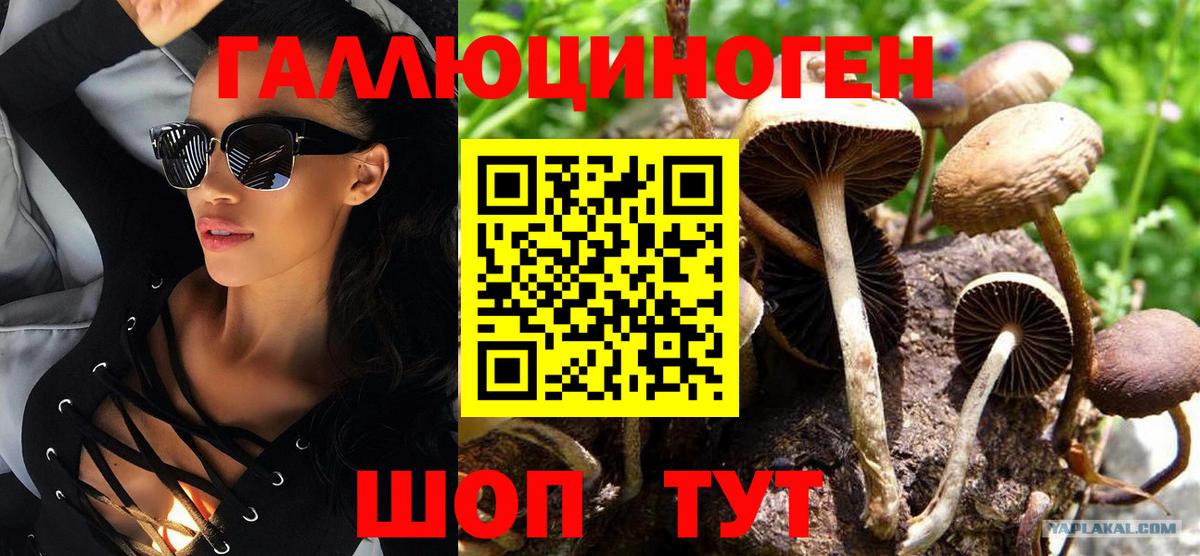 Псилоцибиновые грибы Psilocybe Южно-Сахалинск